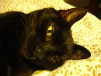IMGP5686.webp