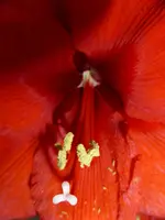 P1080589.webp