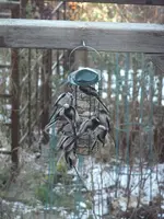160.webp
