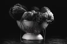 wolle1.webp