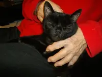 IMGP5658.webp