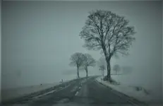 wntr02.webp