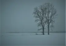 wntr03.webp