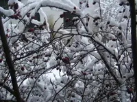 BILD8782.webp