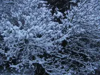 BILD8793.webp