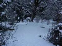 BILD8794.webp