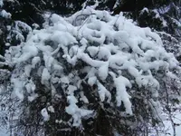 BILD8797.webp
