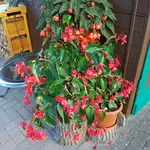 20171015_173530.webp