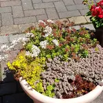 20170703_140823.webp