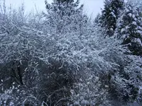 BILD8784.webp
