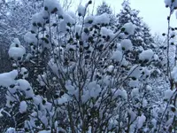 BILD8792.webp