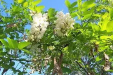 image001.webp