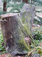 aP1080609.webp