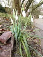 aP1080616.webp