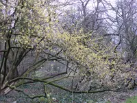 aP1080630.webp