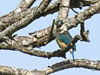 IMG_4086.JPG
