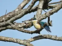 IMG_4052.jpg