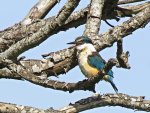 IMG_4093 - Copy.jpg