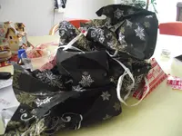 2018_0120IPK-ProjektChilis0301.jpg