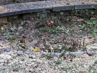 image003.webp