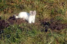 DSCN2388.webp