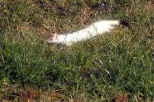 DSCN2383.webp