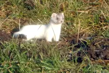 DSCN2369.webp