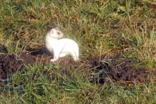 DSCN2363.webp
