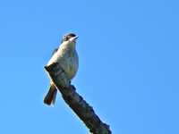 IMG_3990.JPG