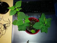20180125_180105.webp