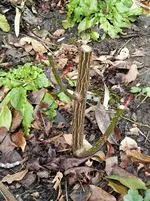 IMG_20180126_134506.jpg