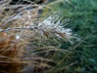DSC04171 (neue Groesse).webp DSC04171 (neue Groesse).webp