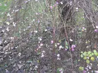 BILD8818.JPG