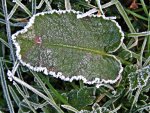 IMG_9298 - Copy.jpg