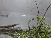 P1030730.webp