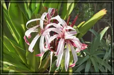 comp_DSC04819.webp