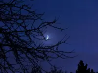 image003.webp