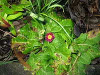 IMG_5956.webp