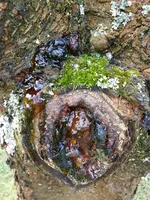 IMG_20180128_121047.webp