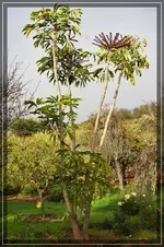 comp_DSC04761.webp