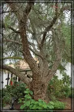 comp_DSC05061.webp
