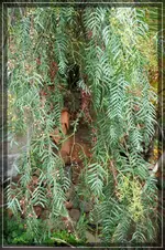 comp_DSC05053.webp
