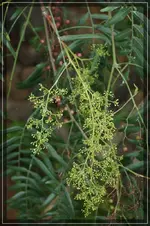 comp_DSC05054.webp