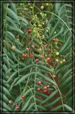comp_DSC05055.webp
