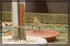 comp_DSC05143.webp