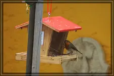 comp_DSC05169.webp