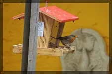 comp_DSC05171.webp