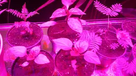 20180129_172853.webp