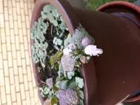 20180128_102510.webp