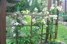 100_3319.webp 100_3319.webp